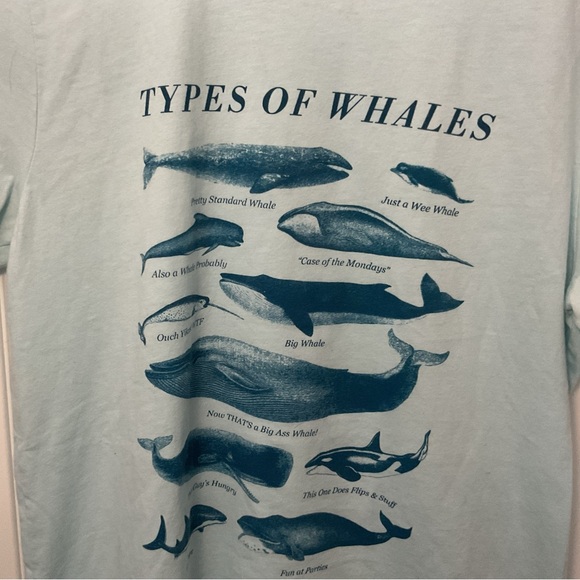 Types of whales adult medium tee shirt - Picture 1 of 4